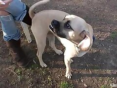 Chinese Sex Videos 113